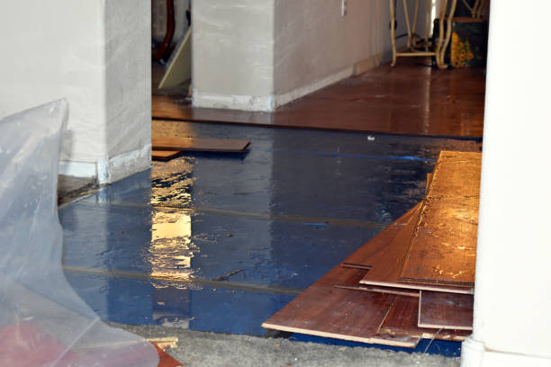 Professional Burst Pipe Cleanup technician working in Hunters, WA